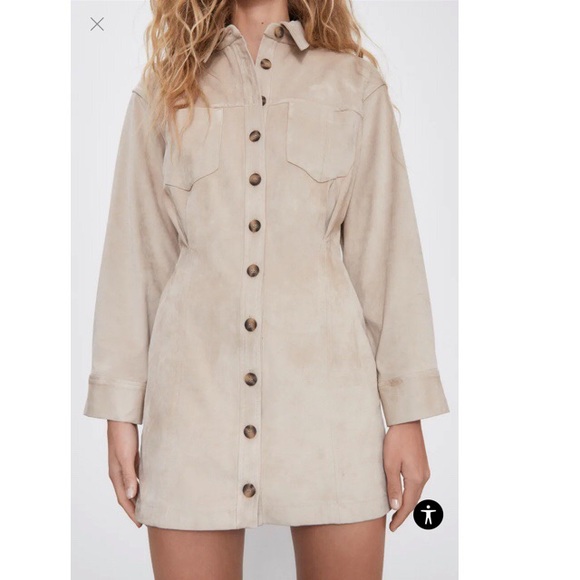 ZARA Faux Suede Dress - Picture 5 of 8